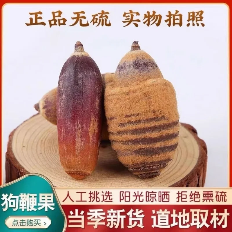 毛毛果泡酒制作过程特写：玻璃罐中金黄果粒与白酒的完美融合_1