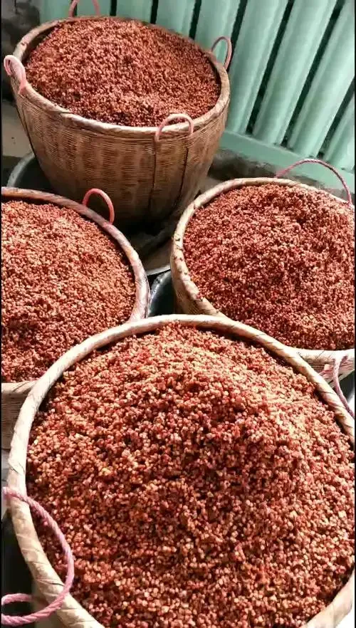 蒸熟开花的高粱米特写，用于家庭自酿高粱酒的关键原料准备。_1