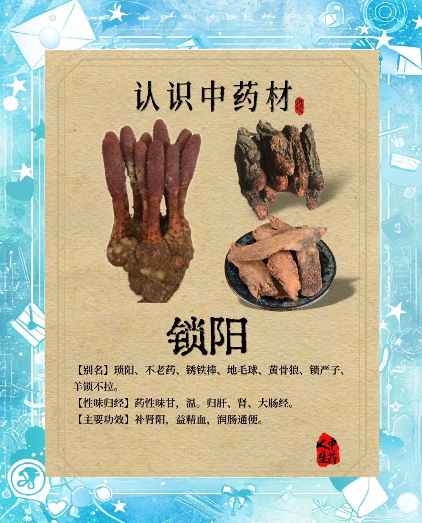 酿酒师工作台上泡制中的锁阳固精酒特写，展示琥珀色酒液与清晰可见的药材_1