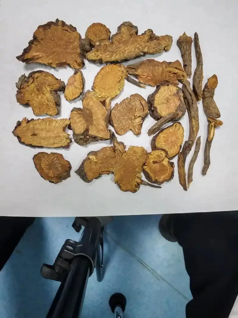 首乌大补酒泡制过程特写：玻璃罐中琥珀色酒液与六味清晰可见的地道药材——制何首乌、枸杞、当归、熟地、黄芪、红枣。_1