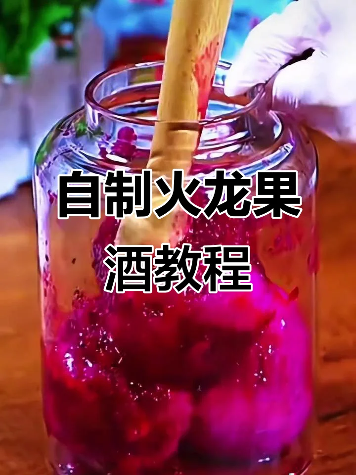 家庭自酿火龙果泡酒过程展示：透明玻璃罐中的红心火龙果与白酒正在浸泡，旁边有切开的火龙果和冰糖_1