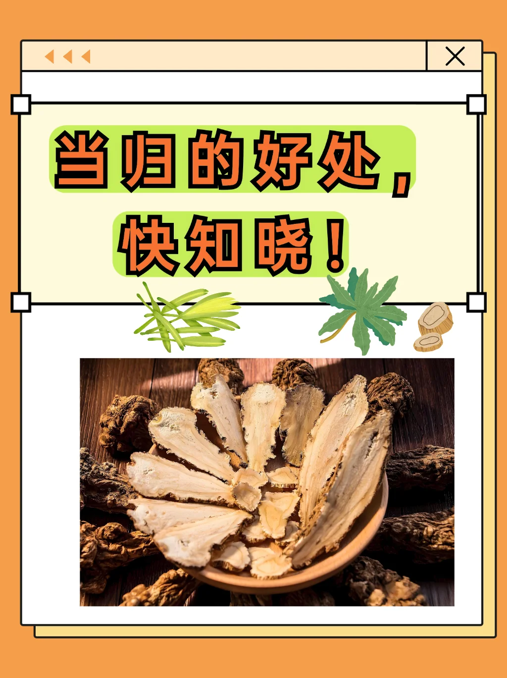 一瓶清澈的当归养生泡酒特写，内含当归片、红枣和枸杞，背景是温馨的酿酒作坊。_1