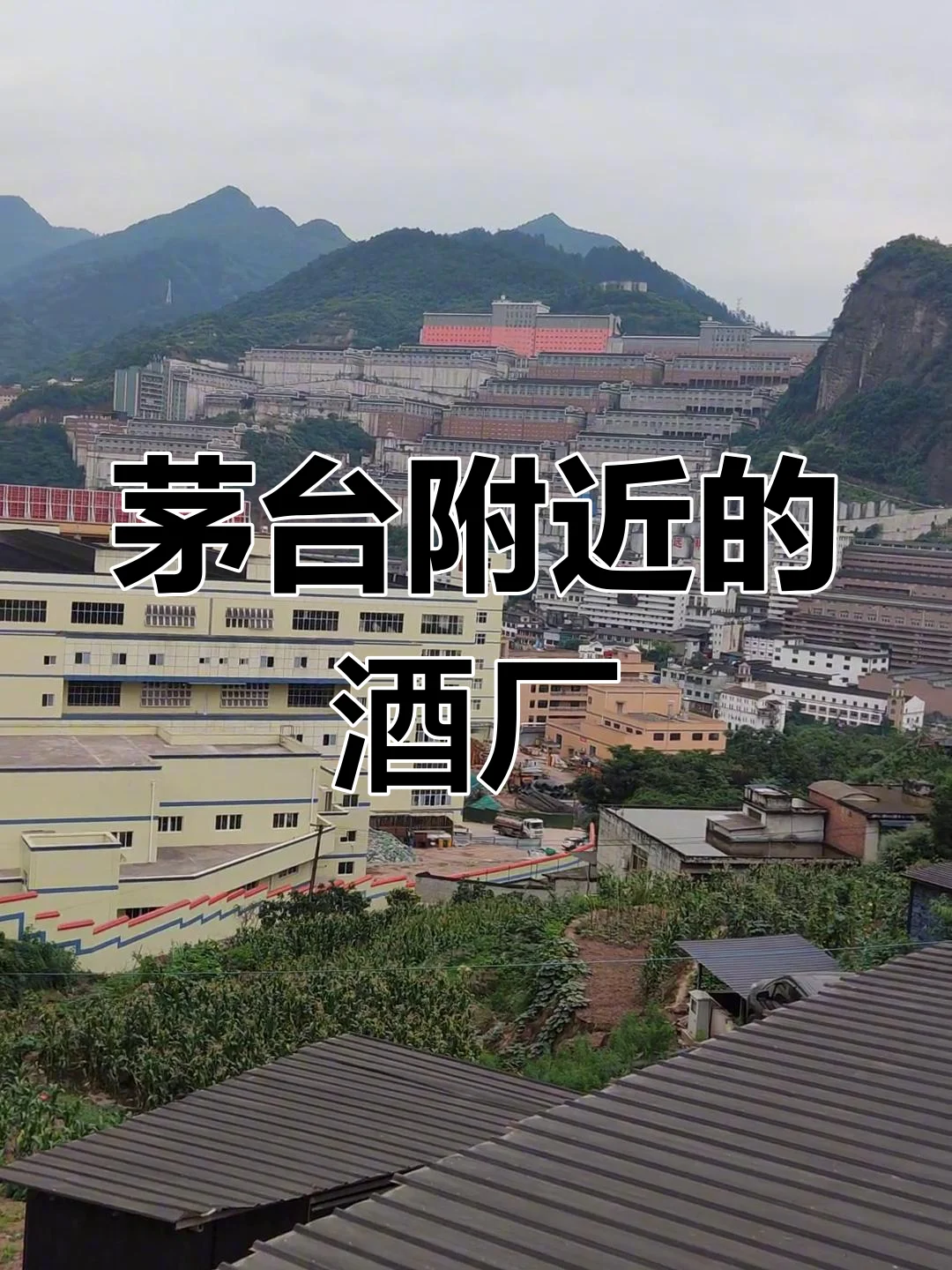 航拍视角下的贵州茅台镇全景，赤水河穿镇而过，两岸分布着众多酒厂建筑，展现酱香酒核心产区的规模与地理风貌_1