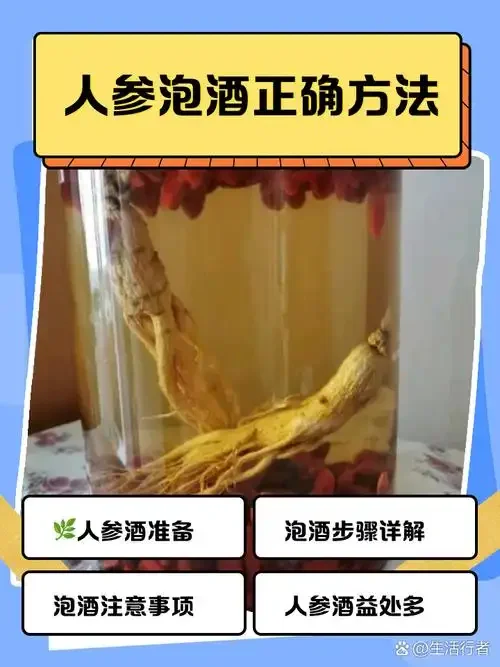 酿酒师展示如何选择合适白酒和药材进行人参泡酒的专业场景_1