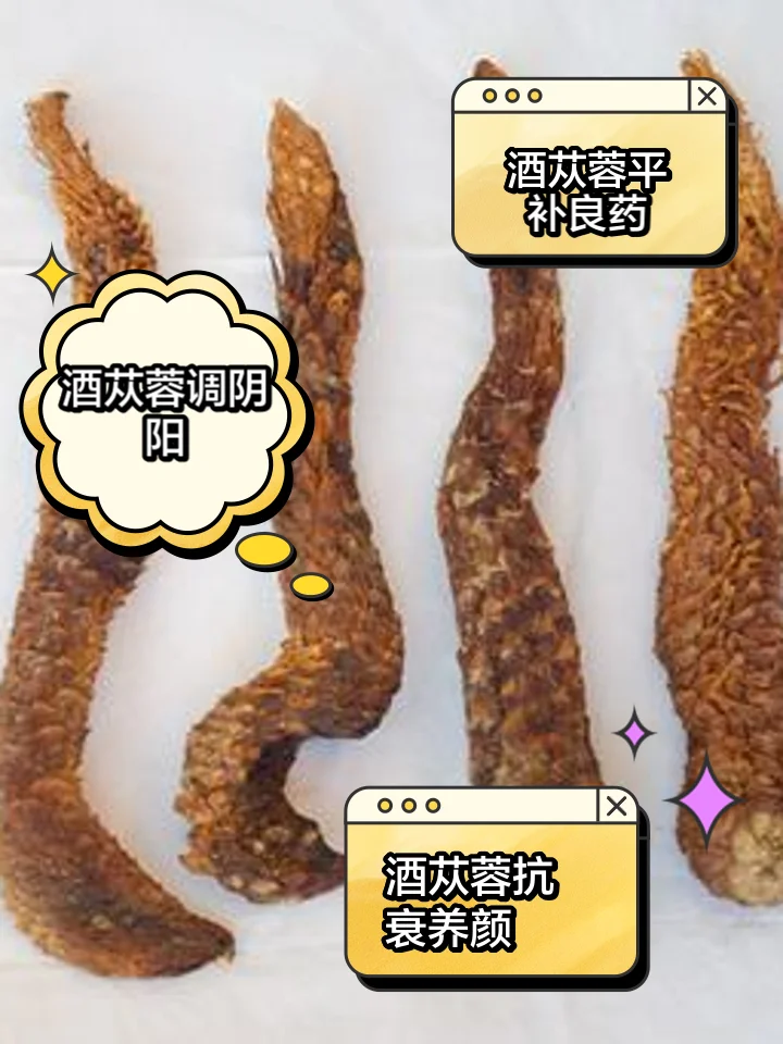 酿酒师傅正在工作台前,将黄芪、枸杞等药材放入玻璃酒坛中,准备泡制养生药酒_1
