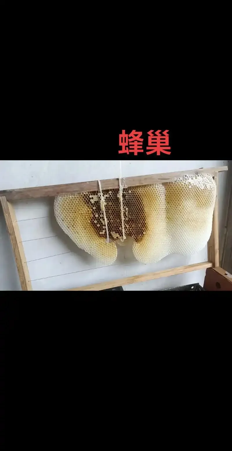 正在发酵中的家庭自制蜜蜂酒特写，玻璃瓶内是琥珀色酒液，旁边摆放着蜂巢蜜和酿酒工具。_1