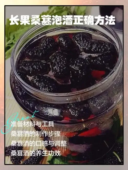 家庭自酿桑葚酒成品展示，深紫红色酒液在玻璃罐中，果粒清晰可见，氛围温馨。_1