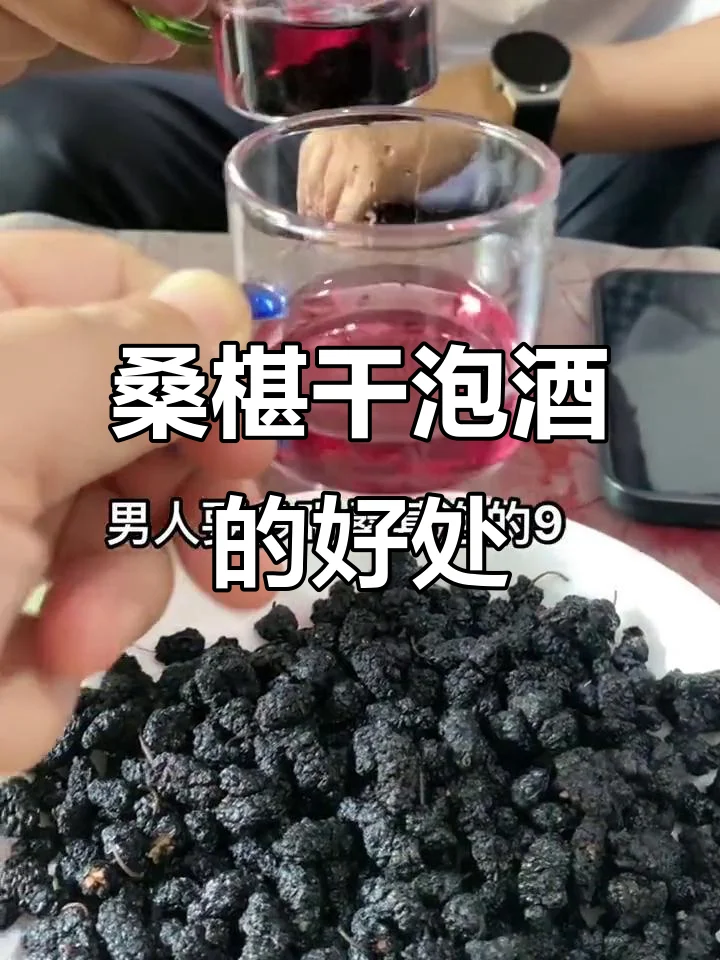 桑葚酒不同泡制阶段的对比照片，展示从初泡到澄清的完整过程_1