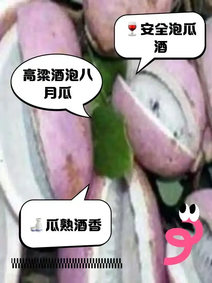 八月瓜泡酒制作过程：成熟的八月瓜与透明玻璃罐中正在浸泡的果酒_1