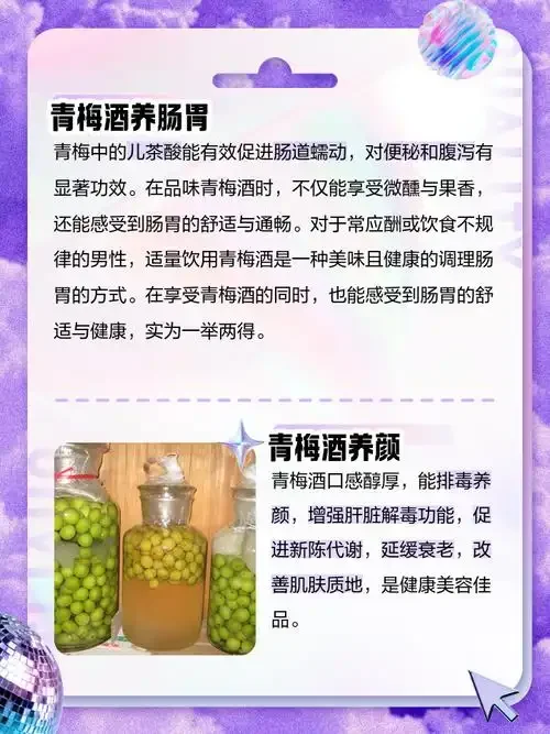 科学插画：健康肠道剖面与一杯纯粮白酒，示意白酒与肠道菌群的可能关联。_1