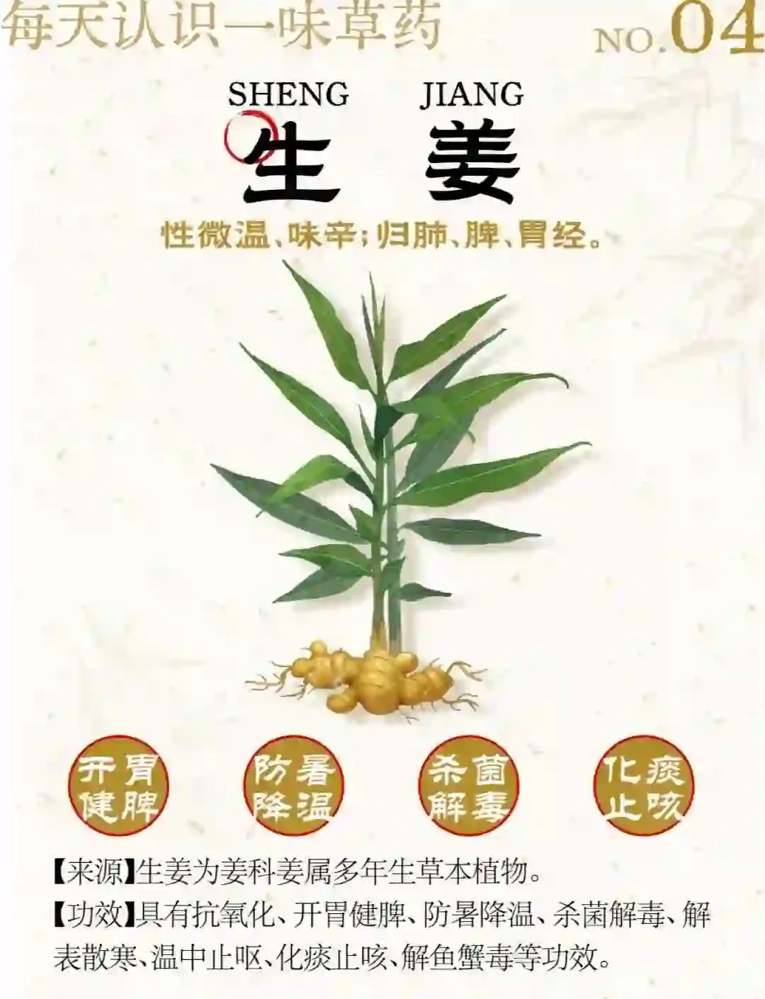 家庭自制生姜泡酒特写，透明玻璃罐中金黄酒液浸泡着新鲜姜片，展现传统养生酿造过程。_1