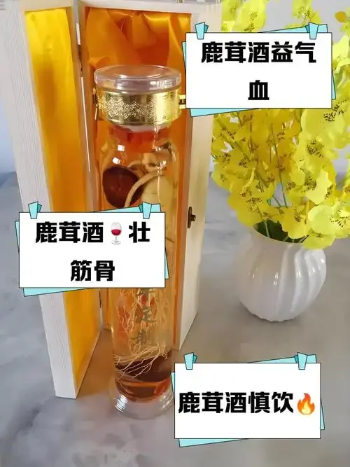 鹿茸泡酒黄金比例展示：透明玻璃罐中琥珀色酒液浸泡着鹿茸片，旁边有显示500克的秤和标有10斤字样的酒坛，背景为温馨的传统作坊木桌。_1