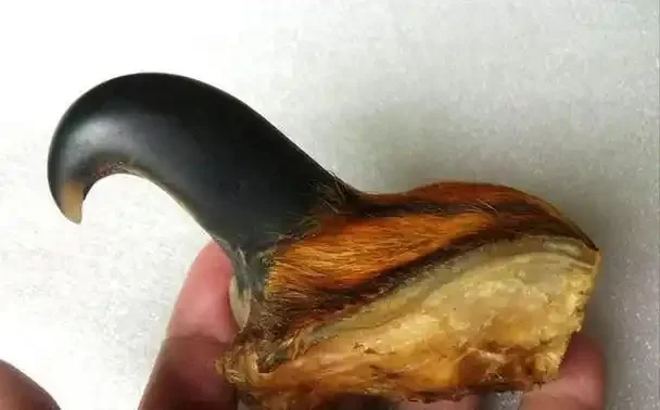 传统中药酒炮制场景：古朴酒坛与中药材_1