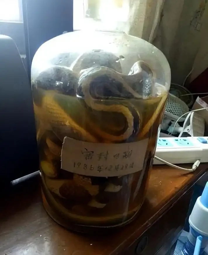 酿酒师展示浸泡在酒中的五步蛇，讲解蛇酒泡制过程_1