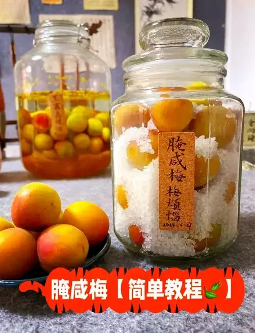 五斤青梅泡酒原料与容器特写，展示青梅、冰糖与玻璃罐的比例关系_1