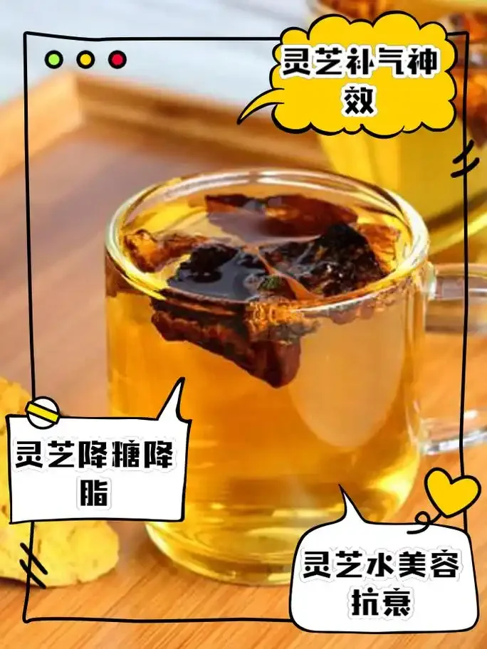 灵芝泡酒药材搭配示例：玻璃酒坛中浸泡着赤灵芝、红枸杞、人参片和红枣，展示了家庭酿制灵芝养生酒的核心配方。_1