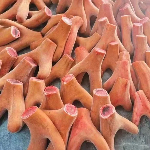 家庭自制鹿茸杨梅泡酒场景：玻璃罐中的琥珀色酒液、红色杨梅与鹿茸片清晰可见，旁边摆放着原料与工具。_1