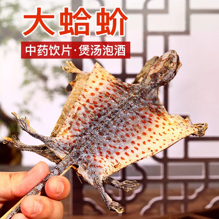 专业酿酒师展示的蛤蚧泡酒配方：酒坛中蛤蚧与多种药材（人参、枸杞、鹿茸）清晰可见，浸泡于优质基酒中。_1