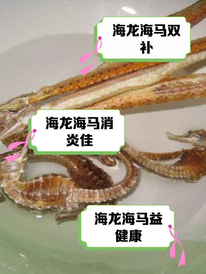 酿酒师正在配制虫草海马海龙泡酒，展示精确称量与处理药材的过程_1
