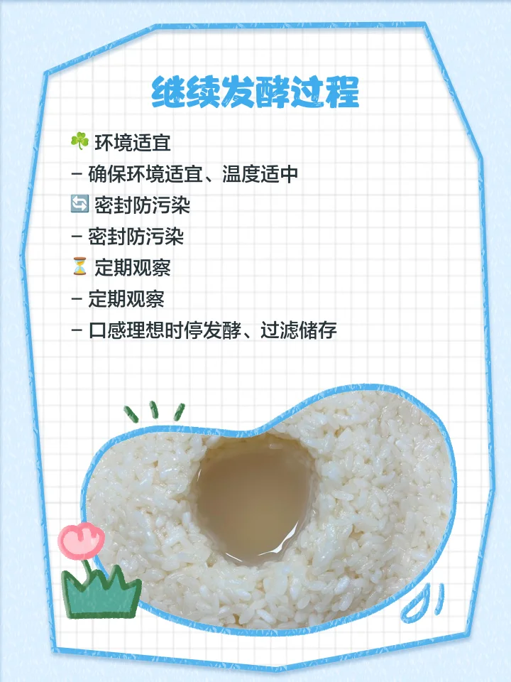 失败发酸酒酿与成功香甜酒酿对比图，展示家庭酿酒的关键差异_1