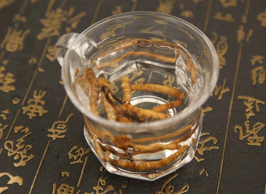 资深酿酒师在家庭操作台演示冬虫夏草与白酒的泡制比例_1