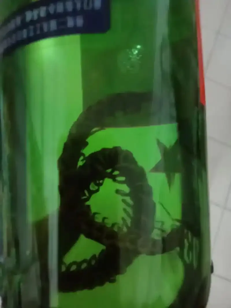 透明玻璃罐中蜈蚣泡酒的细节展示，背景为传统药材与书籍_1