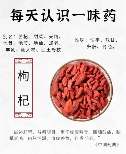 家庭泡制重楼枸杞酒现场：透明玻璃罐中，重楼切片与宁夏枸杞在白酒中浸泡，旁边有药材和电子秤。_1