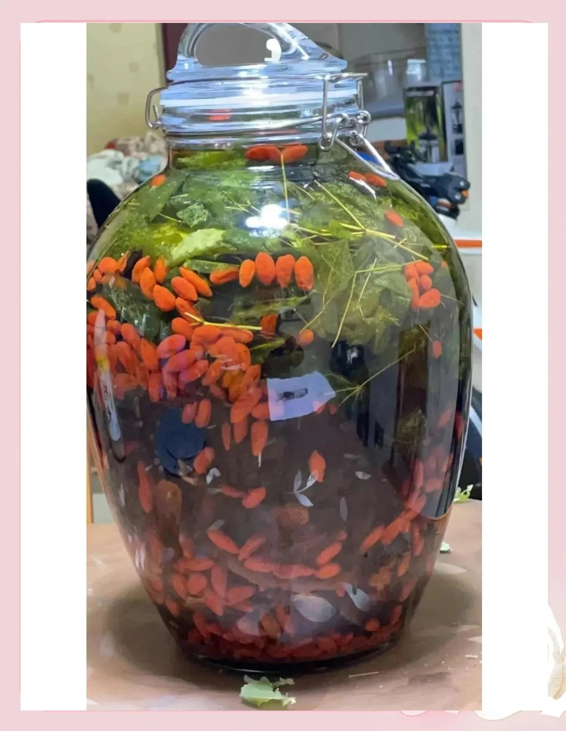 泡制中的灵芝锁阳酒特写，玻璃罐内酒液金黄透亮，灵芝和锁阳清晰可见，旁边散落着原料，光线温馨自然。_1