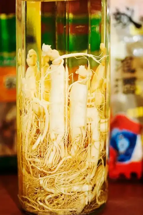 一个装有琥珀色人参酒和干人参的玻璃罐，展示专业人参泡酒的状态_1
