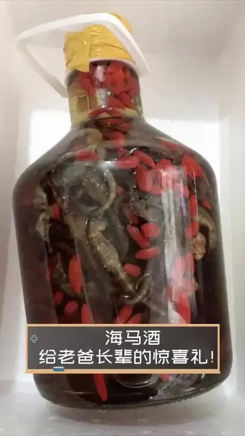 传统陶瓷酒坛中盛满的琥珀色海马泡酒，可见海马与中药材，旁边配有小酒杯。_1