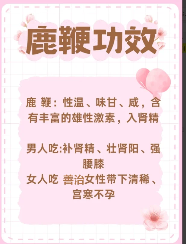 鹿鞭鹿筋酒泡制过程展示：透明酒坛内浸泡的鹿鞭、鹿筋与辅料_1
