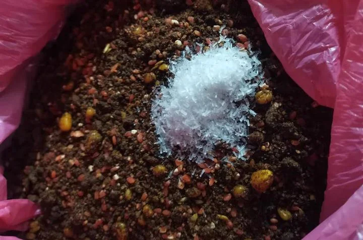 酿酒师向黄金色酒米中添加少量味精的实操特写_1