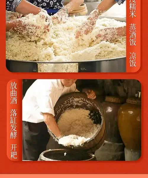 梅州客家黄酒糖化发酵过程特写：陶瓷缸中的糯米饭与红色酒曲_1