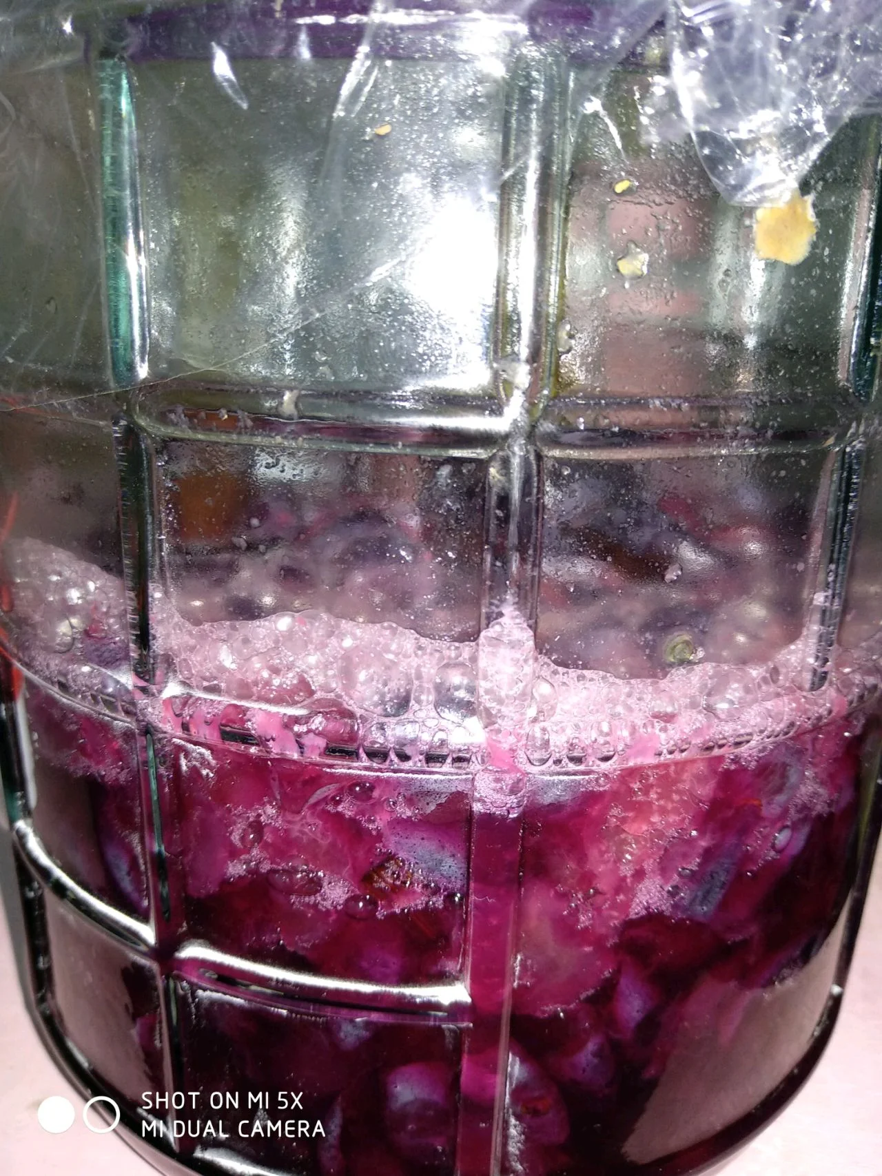 三瓶不同状态的自酿葡萄酒对比，清晰展示储存效果差异_1