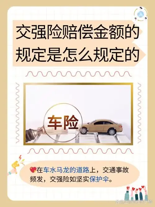 酒驾、汽车与交强险关系的警示科普插画_1