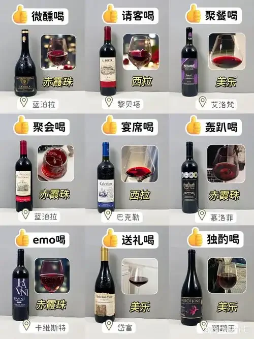 顾客在货架前仔细查看红酒酒标，学习如何根据酒标信息选购红酒_1