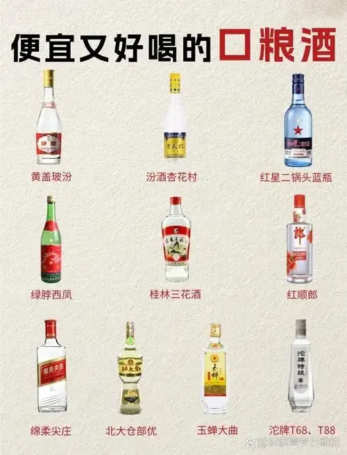 液态法不锈钢发酵罐与传统固态法泥窖发酵池的直观对比图，展示两种白酒酿造工艺的核心物理状态差异_1