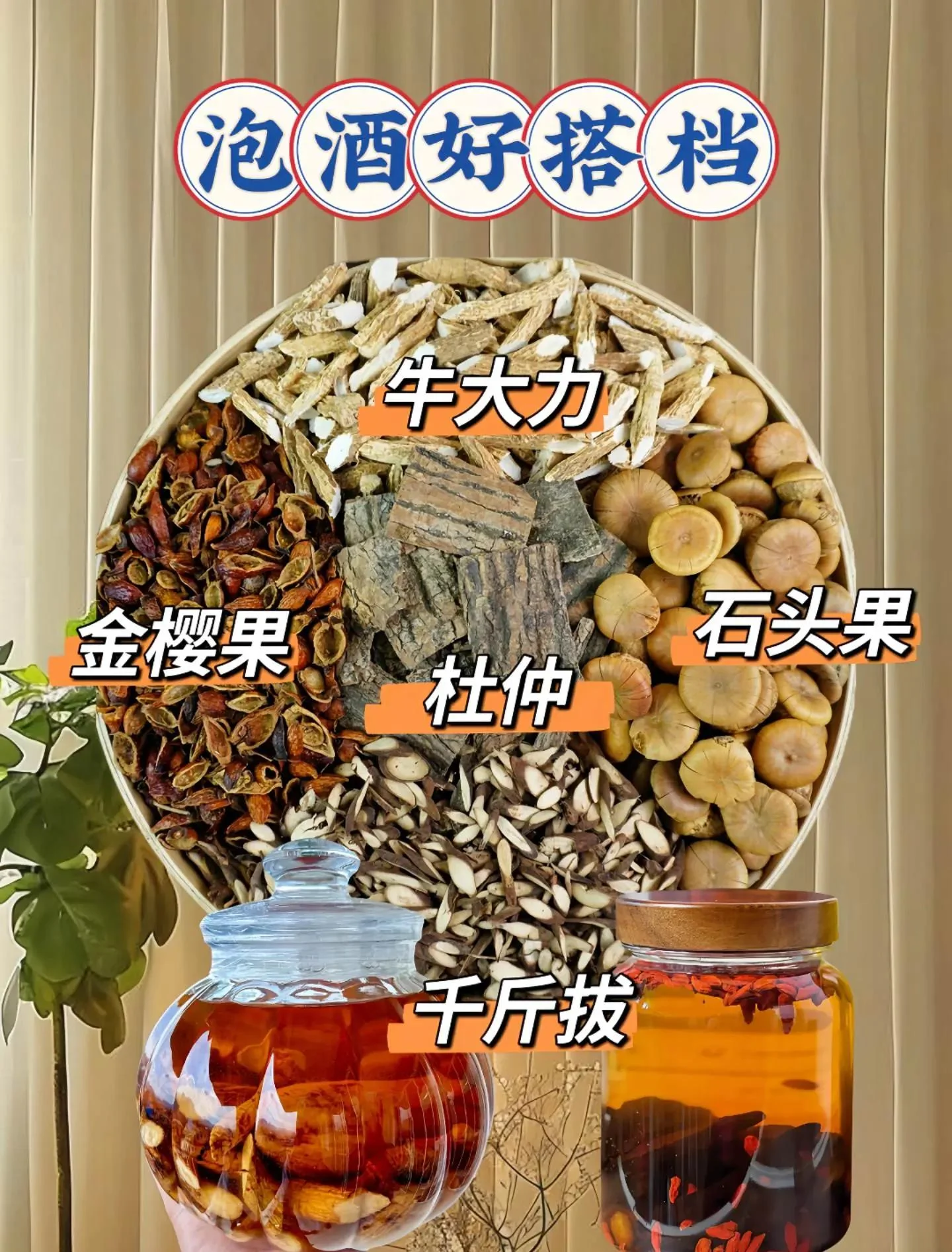 牛大力枸杞红枣泡酒配方实物展示图，包含泡酒瓶、牛大力片、枸杞、红枣等材料。_1