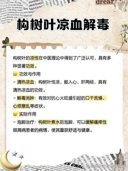 构树青果泡酒的透明玻璃酒坛特写，展示翠绿青果在酒中的状态_1