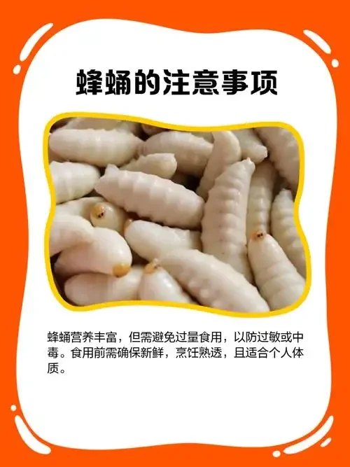 蜂蛹泡酒成品展示：透明玻璃罐中金黄色蜂蛹与琥珀色酒液相得益彰，旁边摆放着酿酒工具。_1