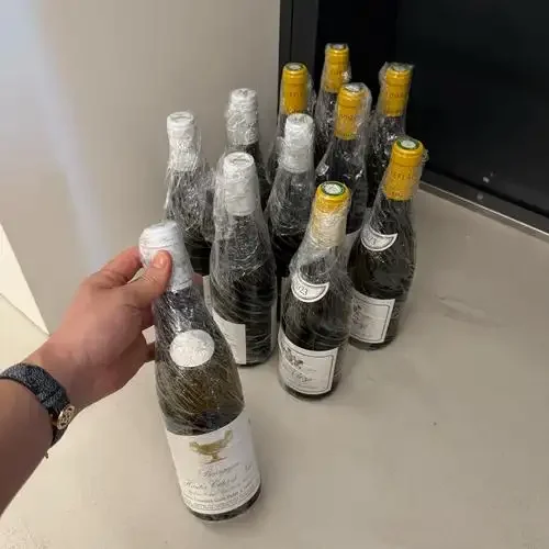 一瓶白葡萄酒被妥善存放在家庭恒温酒柜中，展示了理想的保存环境：温度适宜，酒瓶水平放置，环境避光且安静。_1