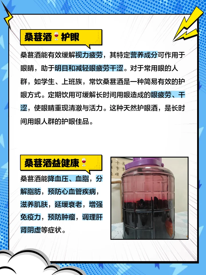 专业酿酒师视角下的家庭自制桑葚酒，展示深紫红色的酒液、饱满的桑葚果以及酿酒工具_1