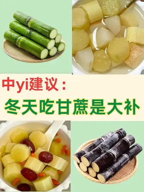 新鲜甘蔗与酿酒陶罐的特写，展示家庭甘蔗酿酒的核心原料与容器。_1