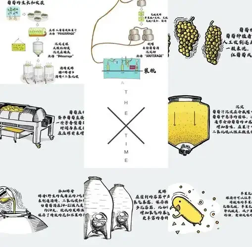 家庭自酿葡萄酒初期：透明发酵瓶中漂浮着葡萄皮，旁边是新鲜葡萄、糖度计和糖，展示准备与发酵过程。_1