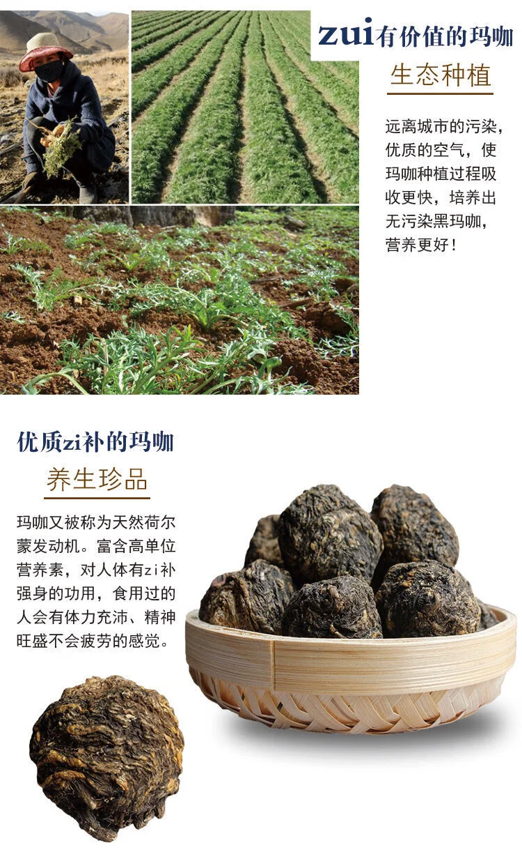 玛咖泡酒制作过程特写：透明酒罐中金色酒液与玛咖片_1