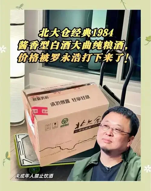 酿酒师检查成熟的酱香型白酒大曲断面，曲块内部布满菌丝，展示高温大曲的完美发酵状态_1