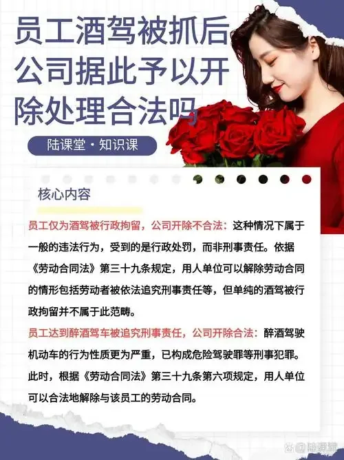 法律书籍与教师工作证并列，象征酒驾行为在职业与法律间的严重冲突_1