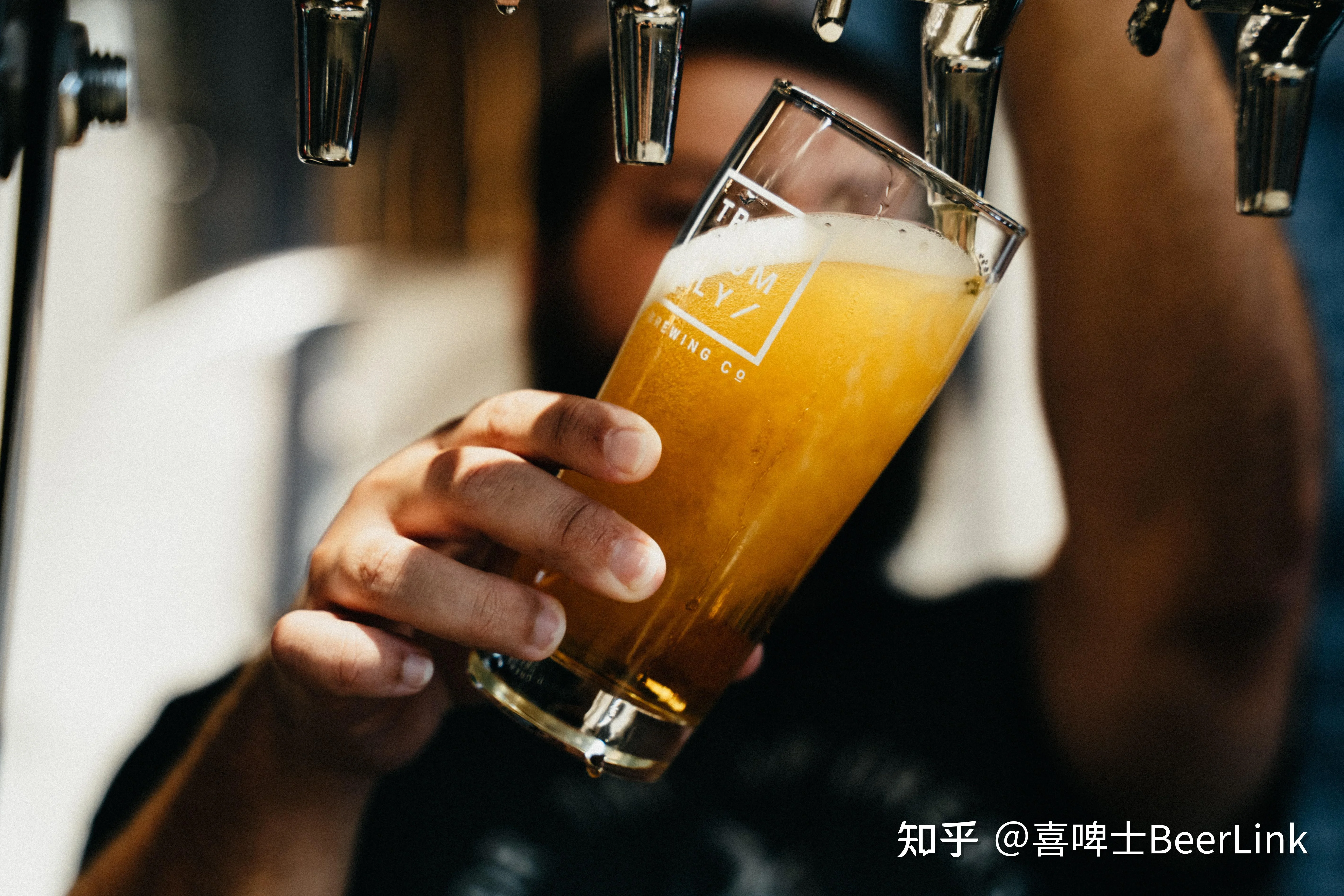 精酿啤酒家庭酿造工作台，展示发酵罐、麦芽和啤酒花等原料_1