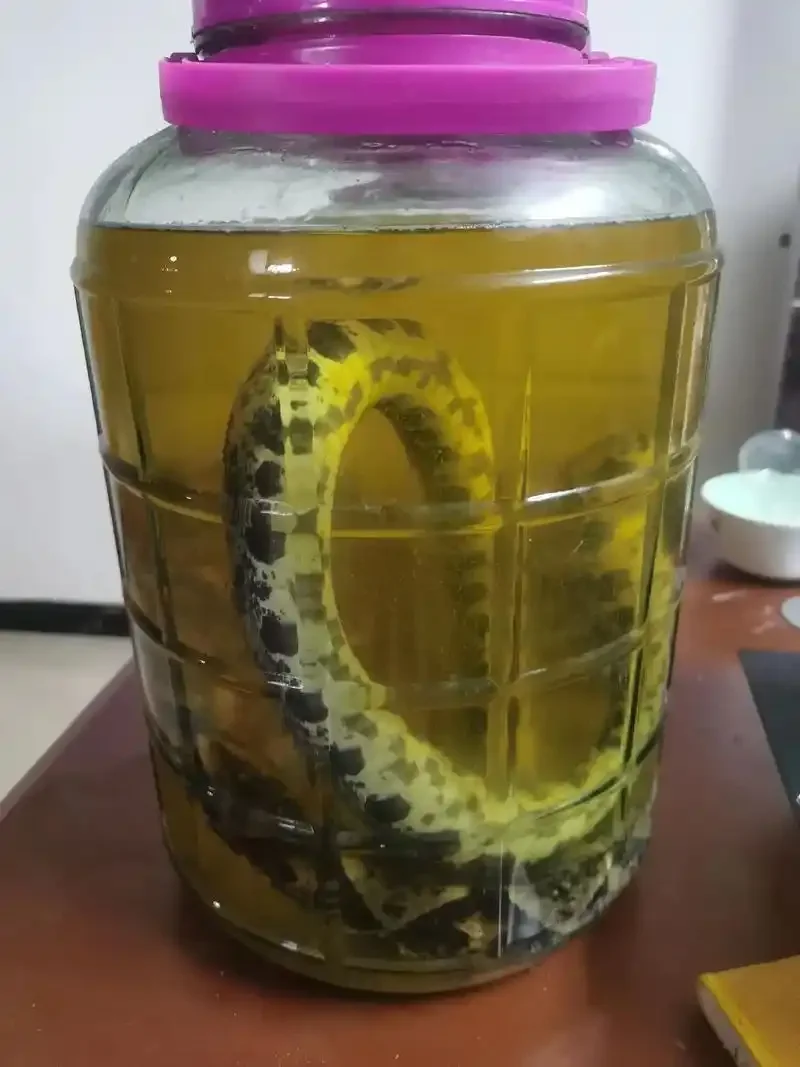 透明玻璃罐中浸泡的蛤蚧酒特写，清晰展示蛤蚧、枸杞等材料与酒体的状态_1