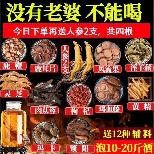人参鹿鞭泡酒成品展示：玻璃罐中琥珀色酒液浸泡着人参和鹿鞭，旁边配有枸杞等辅料_1